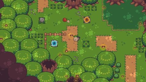 Image in-game