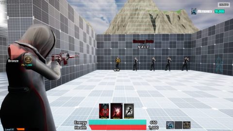 Image in-game