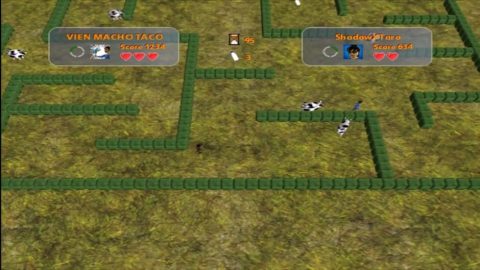 Image in-game