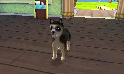 Image in-game