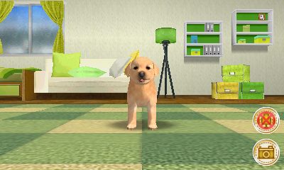 Image in-game