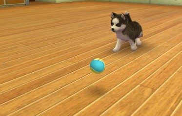 Image in-game