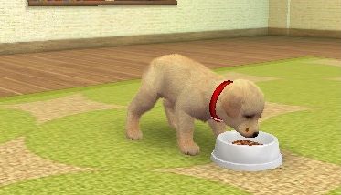 Image in-game