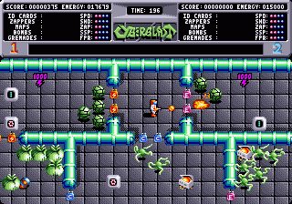 Image in-game