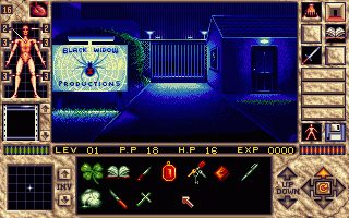 Image in-game