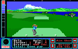 Image in-game