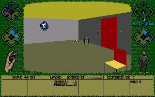 Image in-game