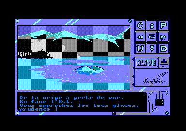 Image in-game