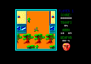 Image in-game