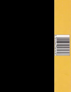 Icon Jon - Dos