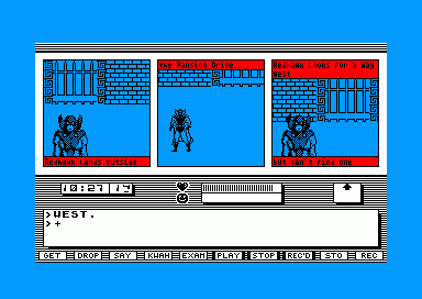 Image in-game