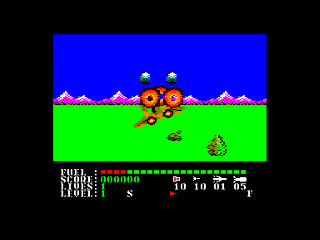 Image in-game