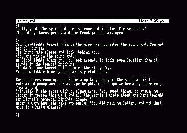Image in-game