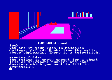 Image in-game