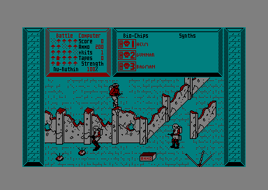 Image in-game