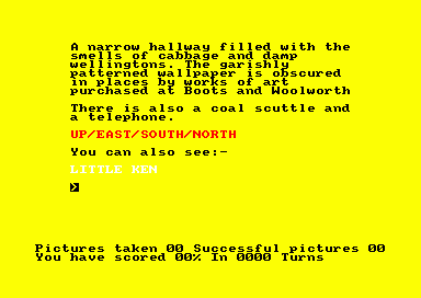 Image in-game