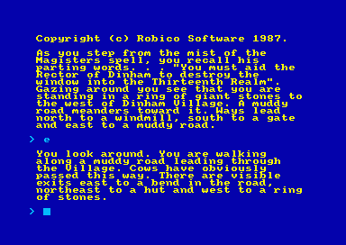 Image in-game