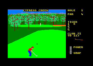 Image in-game