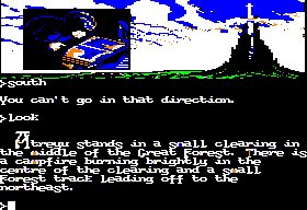 Image in-game