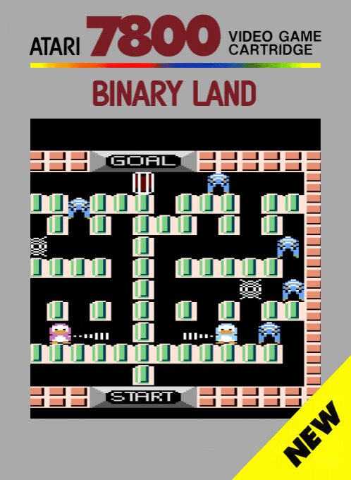 Binary Land