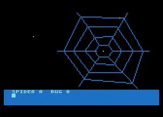 The Bug And The Spider
