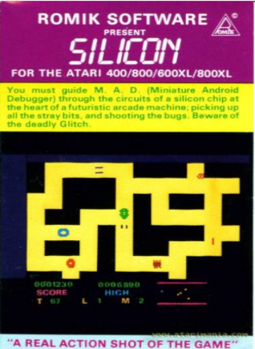 Silicon