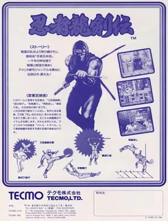 Ninja Gaiden - Dos