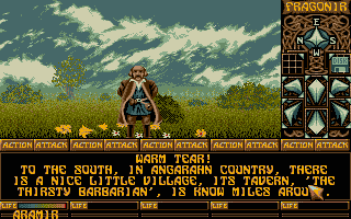 Image in-game