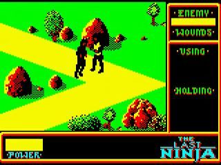 Image in-game