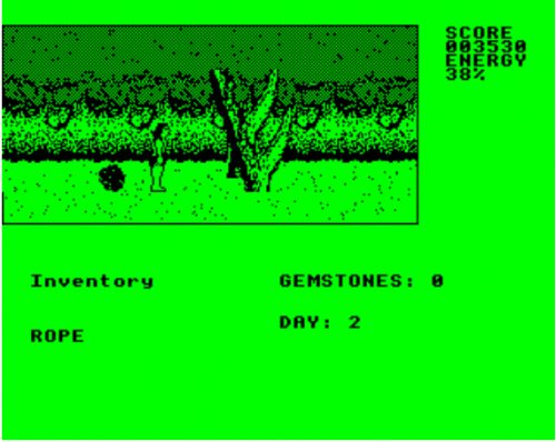 Image in-game