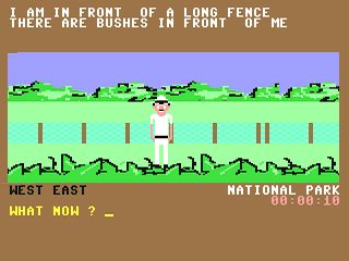 Image in-game