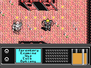 Image in-game