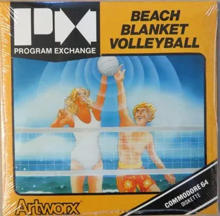Beach Blanket Volleyball