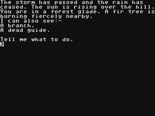 Image in-game