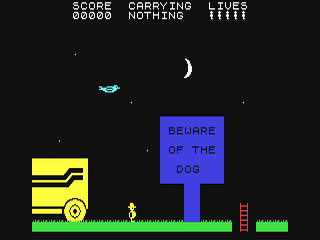 Image in-game