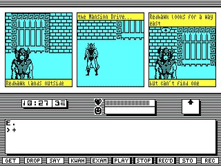 Image in-game