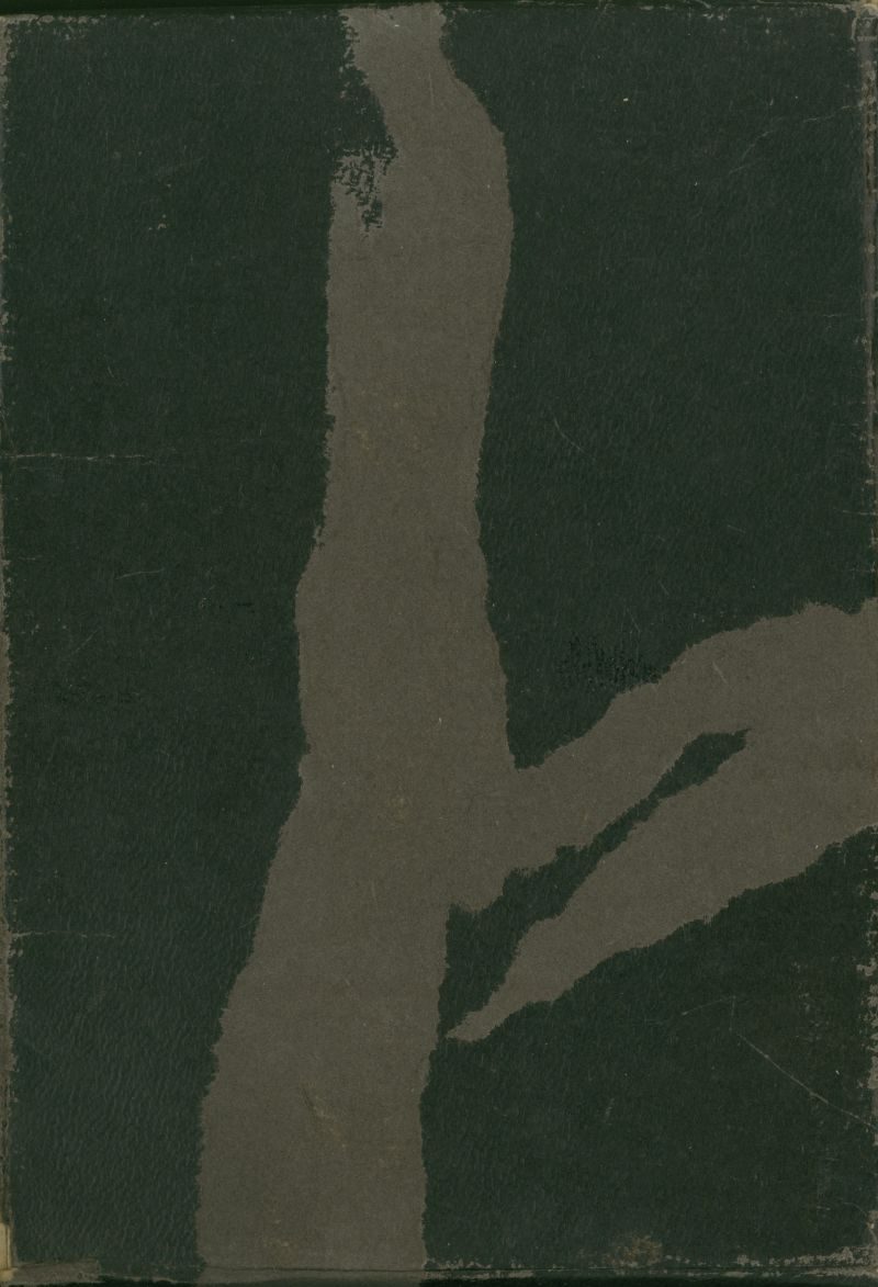 Jaquette arrière