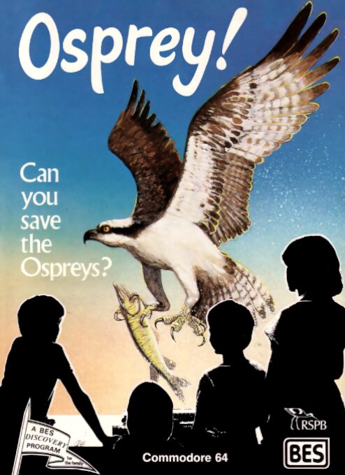 Osprey!