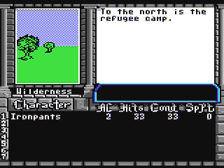 Image in-game