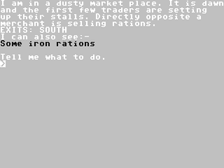 Image in-game