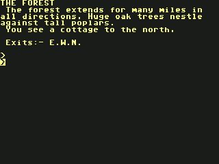 Image in-game