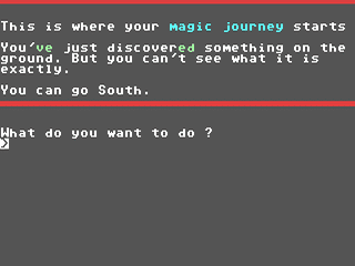 Image in-game