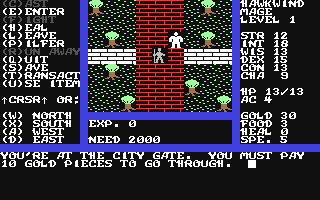 Image in-game