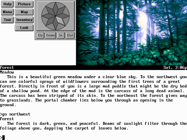 Image in-game