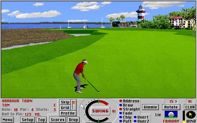 Image in-game
