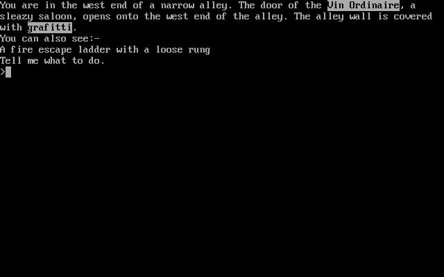 Thief's Adventure
