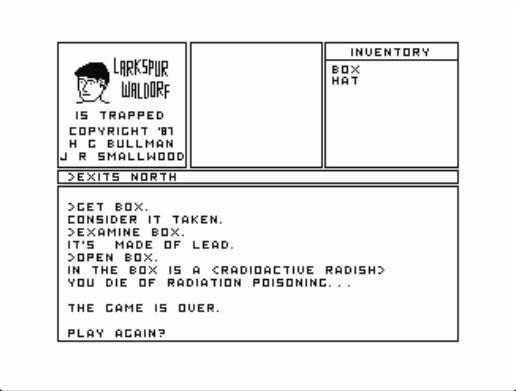 Image in-game