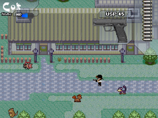 Image in-game