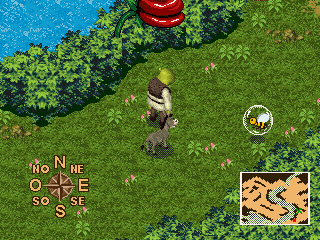 Image in-game