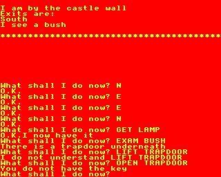 Image in-game